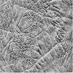 Винилискожа VINILIS 18